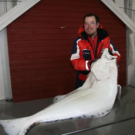 Feriesenter Tatil parkı *