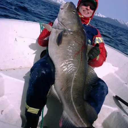 פארק נופש Feriesenter